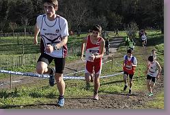 Begles 15.12.13 01 627 * 679 x 453 * (180KB)